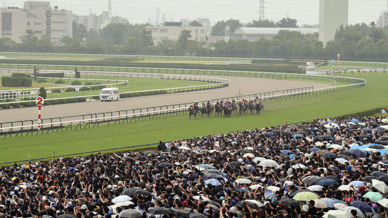 宝塚記念レース直前に降り出した雨の中スタートする各馬（撮影・西尾就之）