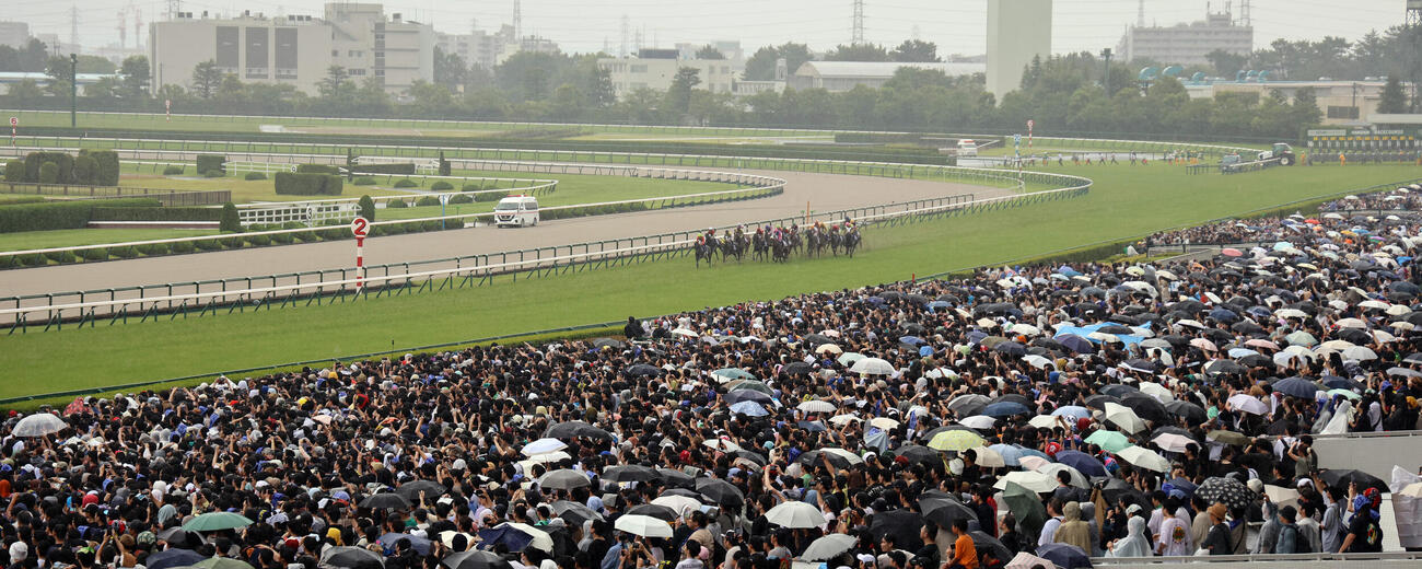 レース直前に降り出した雨の中スタートする宝塚記念の出走馬（撮影・西尾就之）