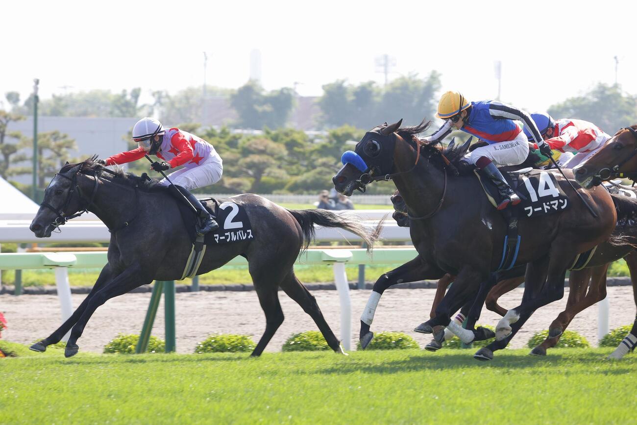 函館11R　函館日刊スポーツ杯を制したマーブルパレス