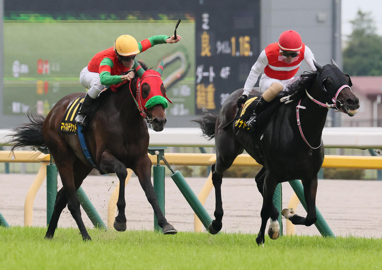 東京11R、パラダイスSを制したマイネルチケットと津村明秀騎手（左）。右は2着ショウナンザナドゥ（撮影・丹羽敏通）