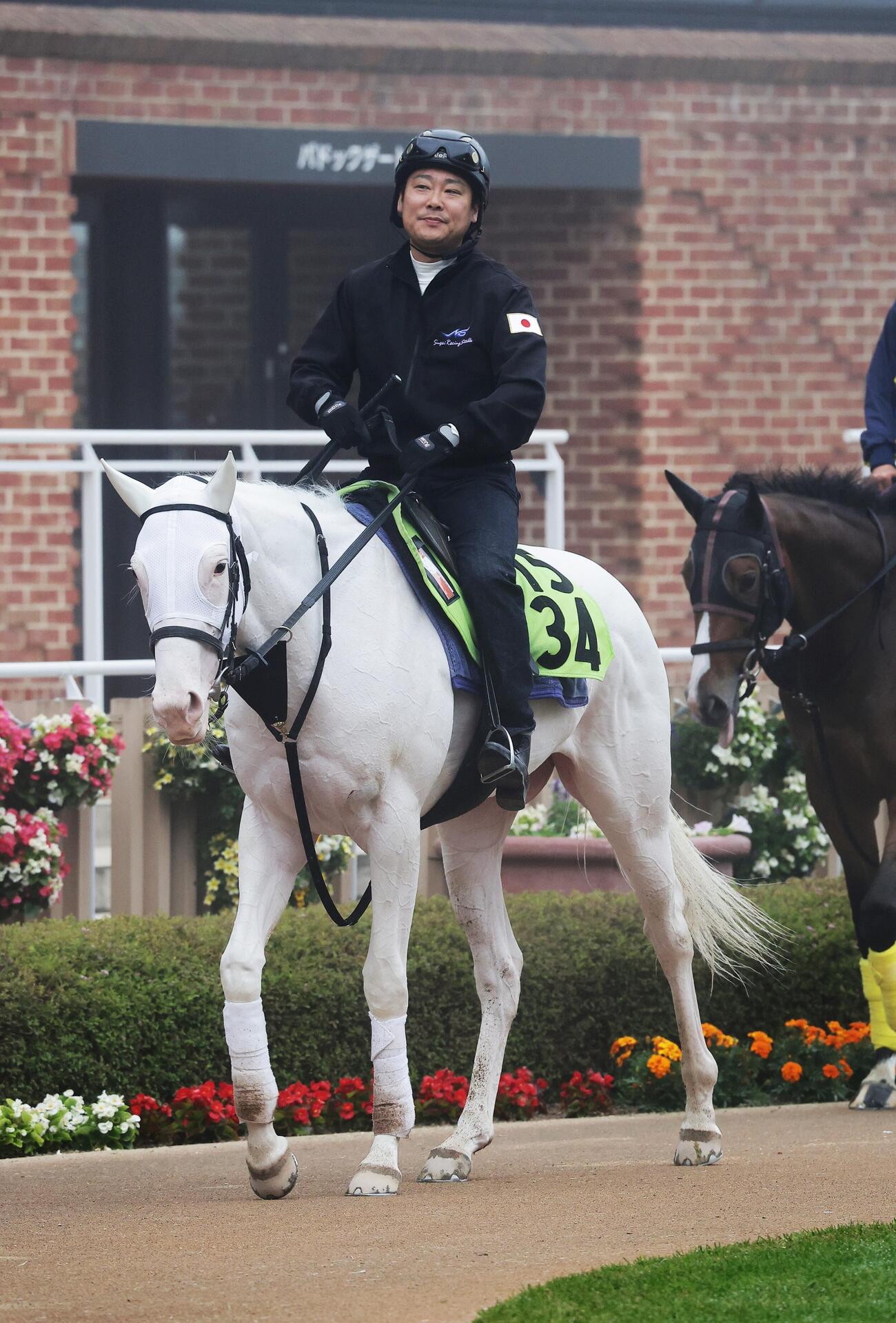 函館競馬場で調整するスノーウィスパー