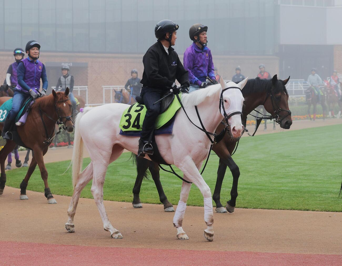 函館競馬場で調整するスノーウィスパー