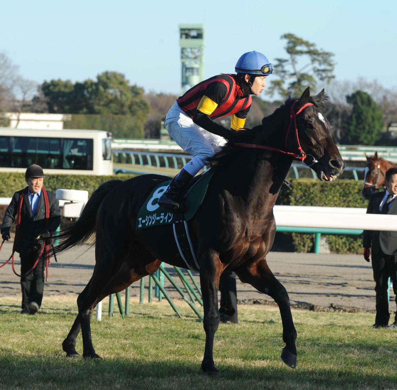 エーシンジーライン（2012年01月撮影）