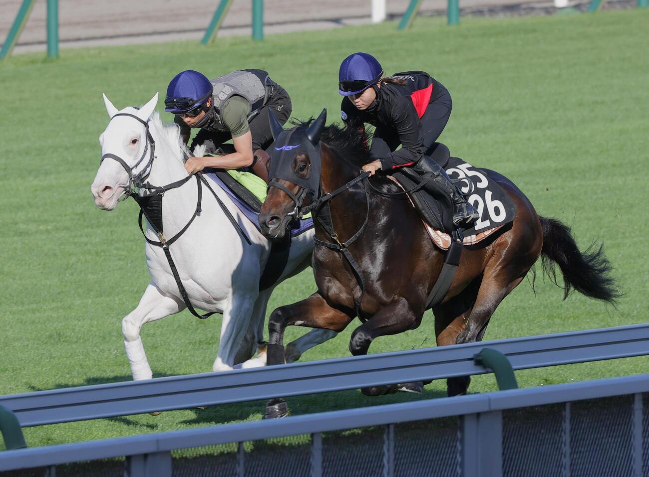 佐々木大輔騎手を背に、芝コースで併せ馬で追い切られるスノーウィスパー（左）