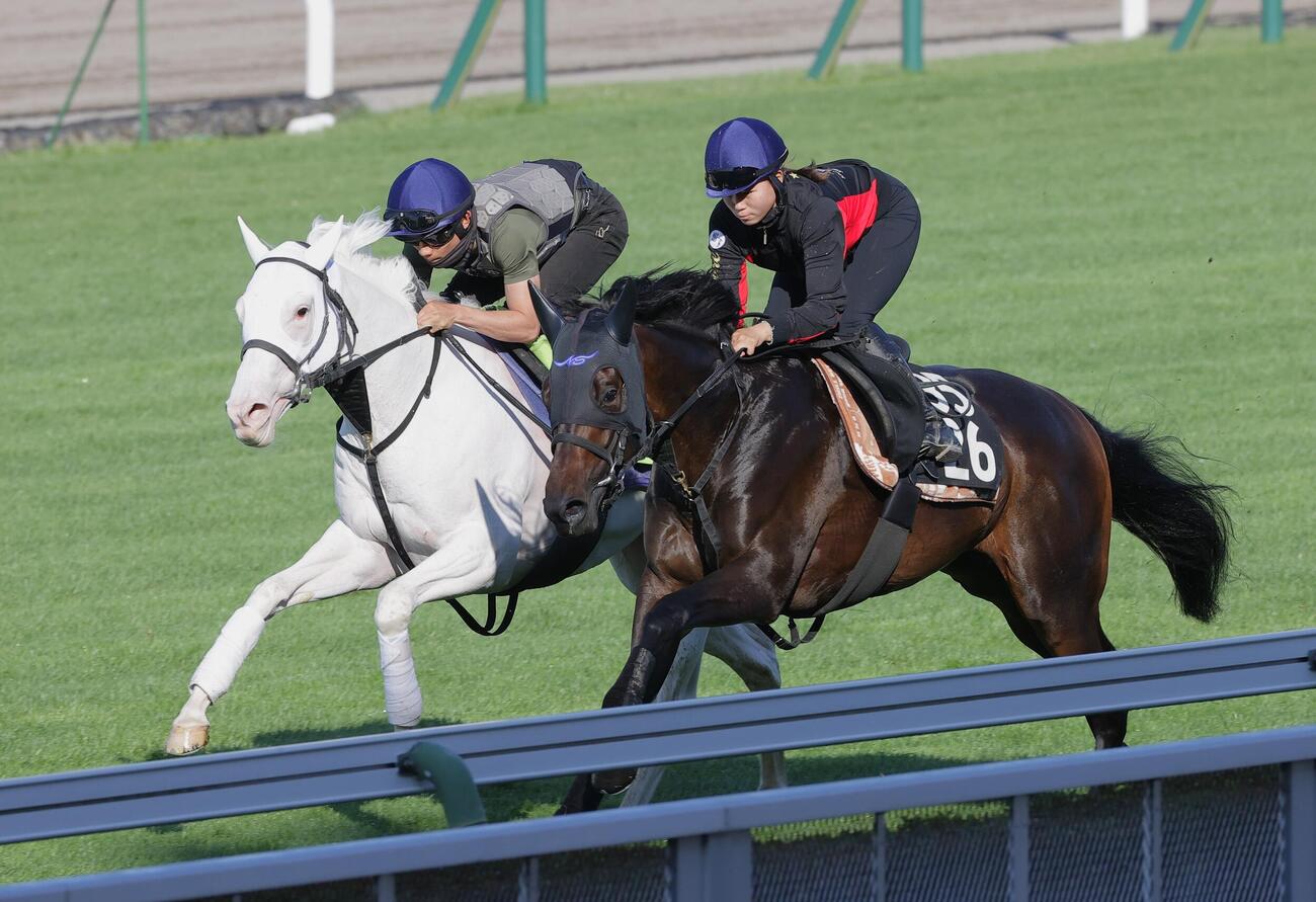 佐々木大輔騎手を背に、芝コースで併せ馬で追い切られるスノーウィスパー（左）