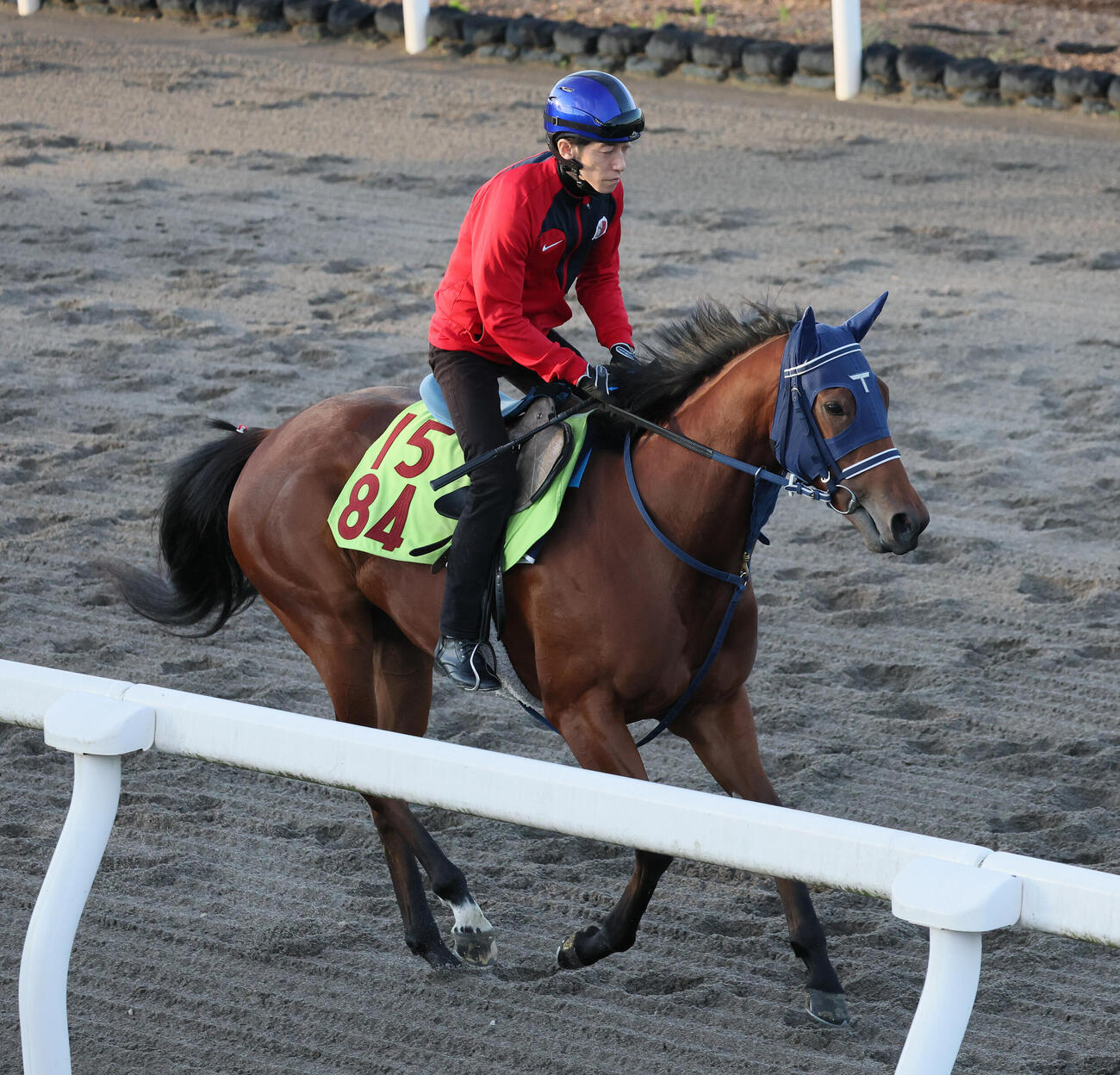 ダートコースで運動するルークウォームと津村明秀騎手（撮影・丹羽敏通）