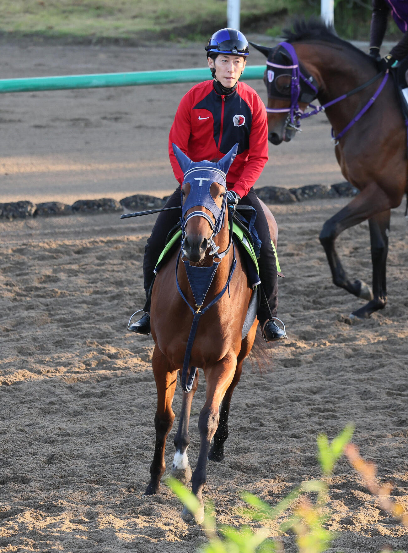角馬場で運動するルークウォームと津村明秀騎手（撮影・丹羽敏通）