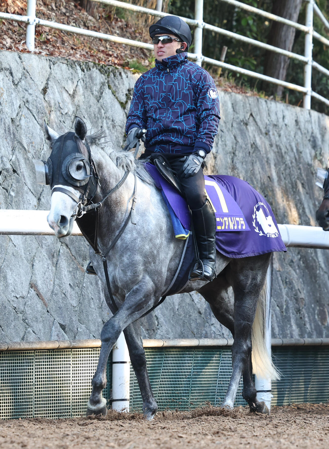 ヤマニンアルリフラ（2026年3月24日撮影）