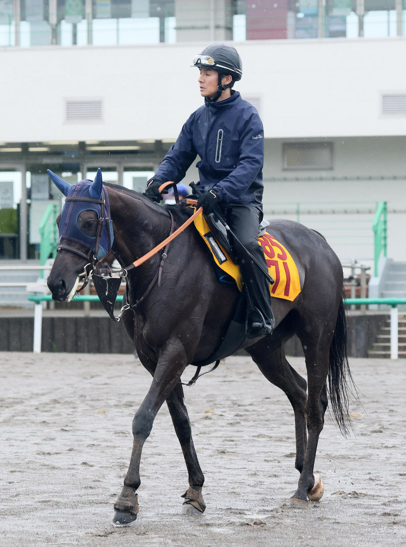 追い切りを終えて馬場を出るヴァルキリーバース（撮影・丹羽敏通）