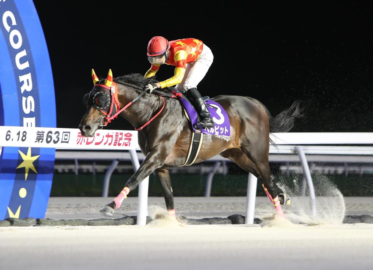 赤レンガ記念を3連覇したベルピット（騎手・桑村真明）
