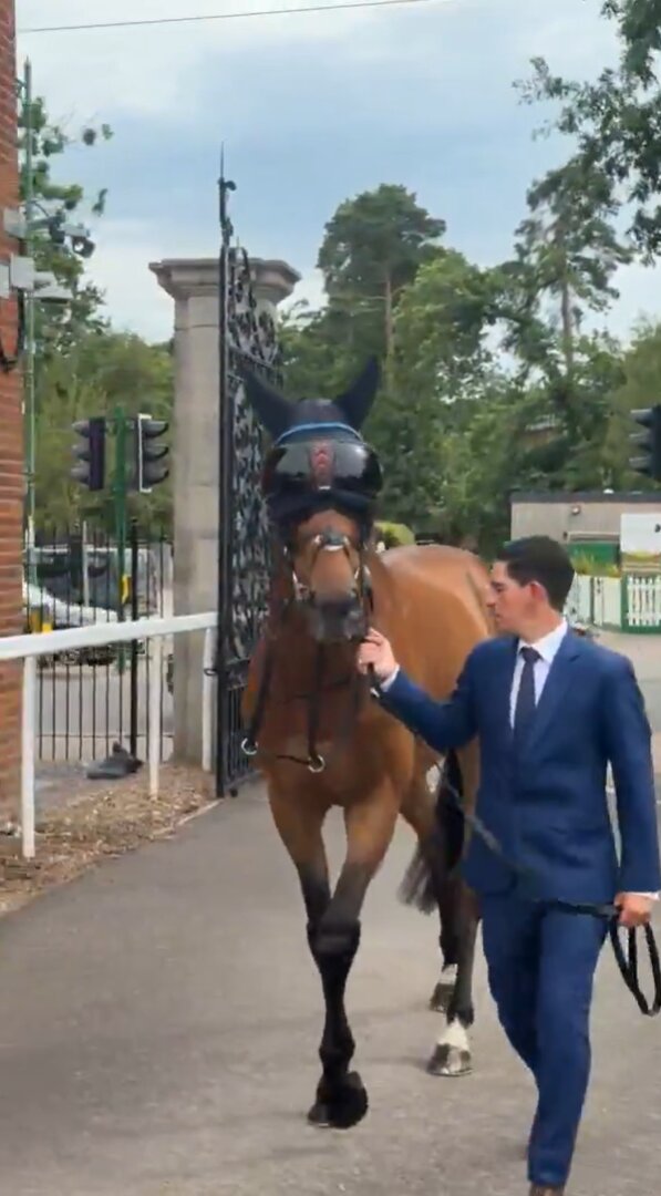 アスコットゴールドCに向け、競馬場に到着したトローラーマン（アスコット競馬場の公式Xより）