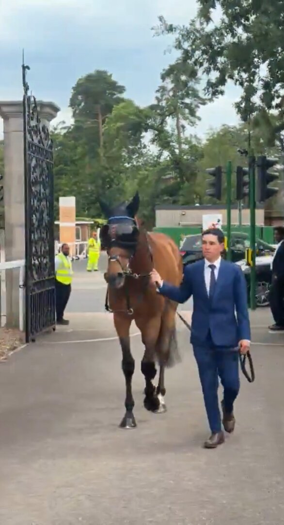 アスコットゴールドCに向け、競馬場に到着したトローラーマン（アスコット競馬場の公式Xより）