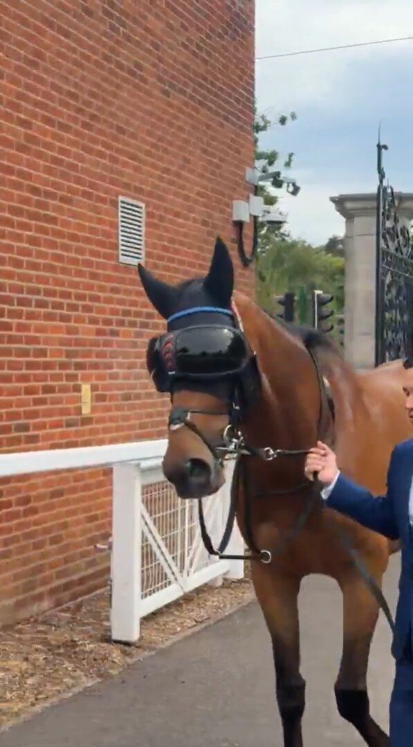 アスコットゴールドCに向け、競馬場に到着したトローラーマン（アスコット競馬場の公式Xより）