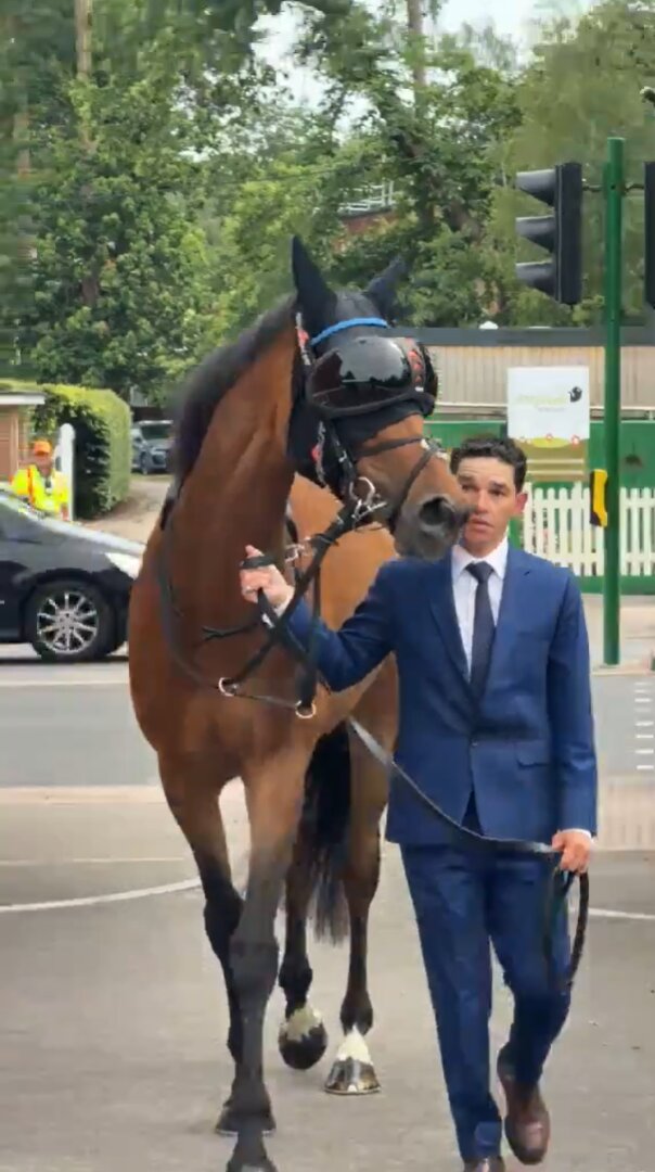 アスコットゴールドCに向け、競馬場に到着したトローラーマン（アスコット競馬場の公式Xより）