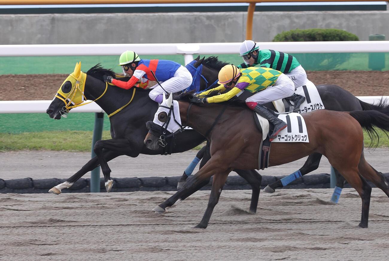 今週から北海道参戦の武豊騎手。2Rコイタマチャン（左端）で勝利を挙げる