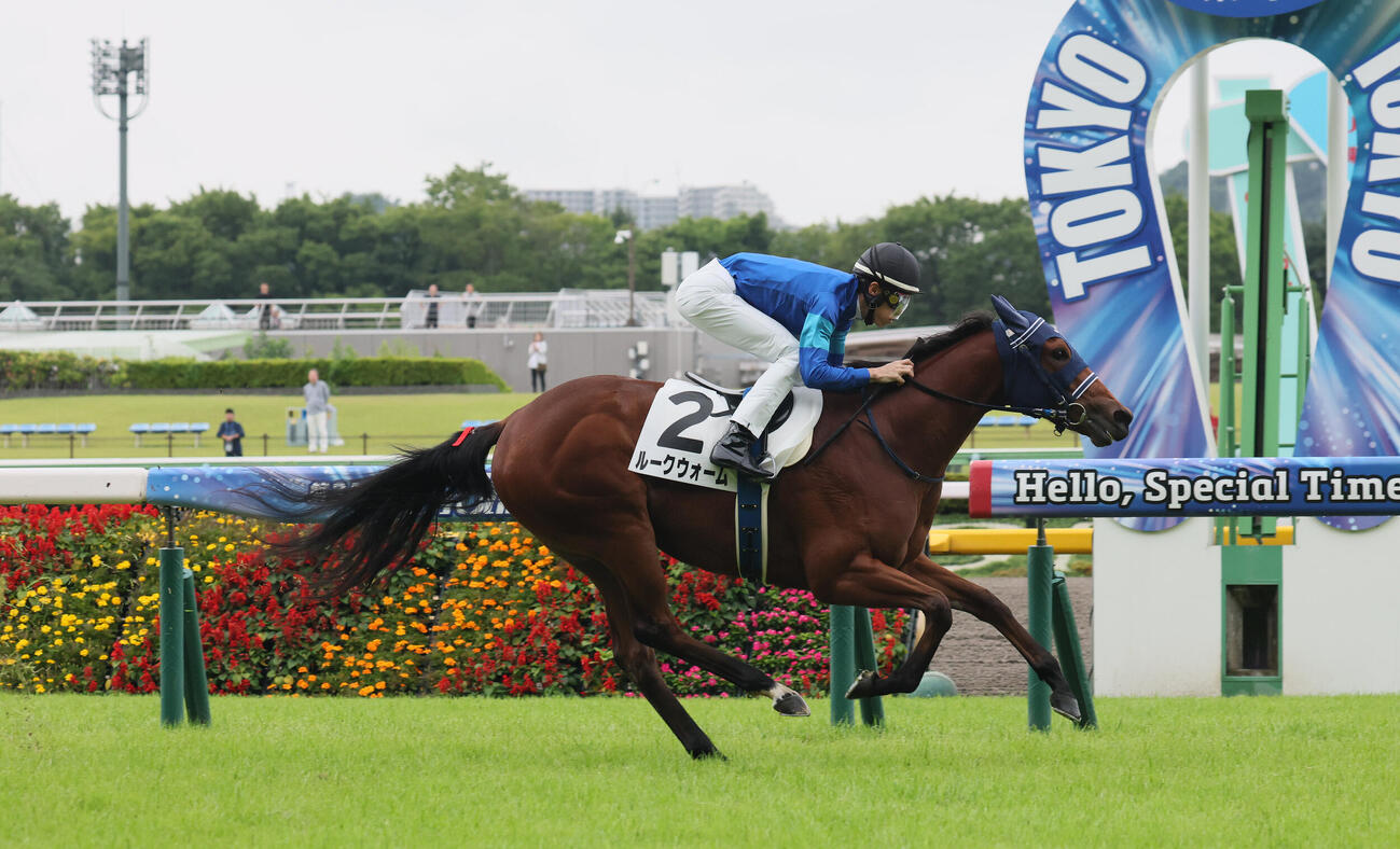 東京4R、2歳新馬戦を逃げ切ったルークウォームと津村明秀騎手（撮影・丹羽敏通）