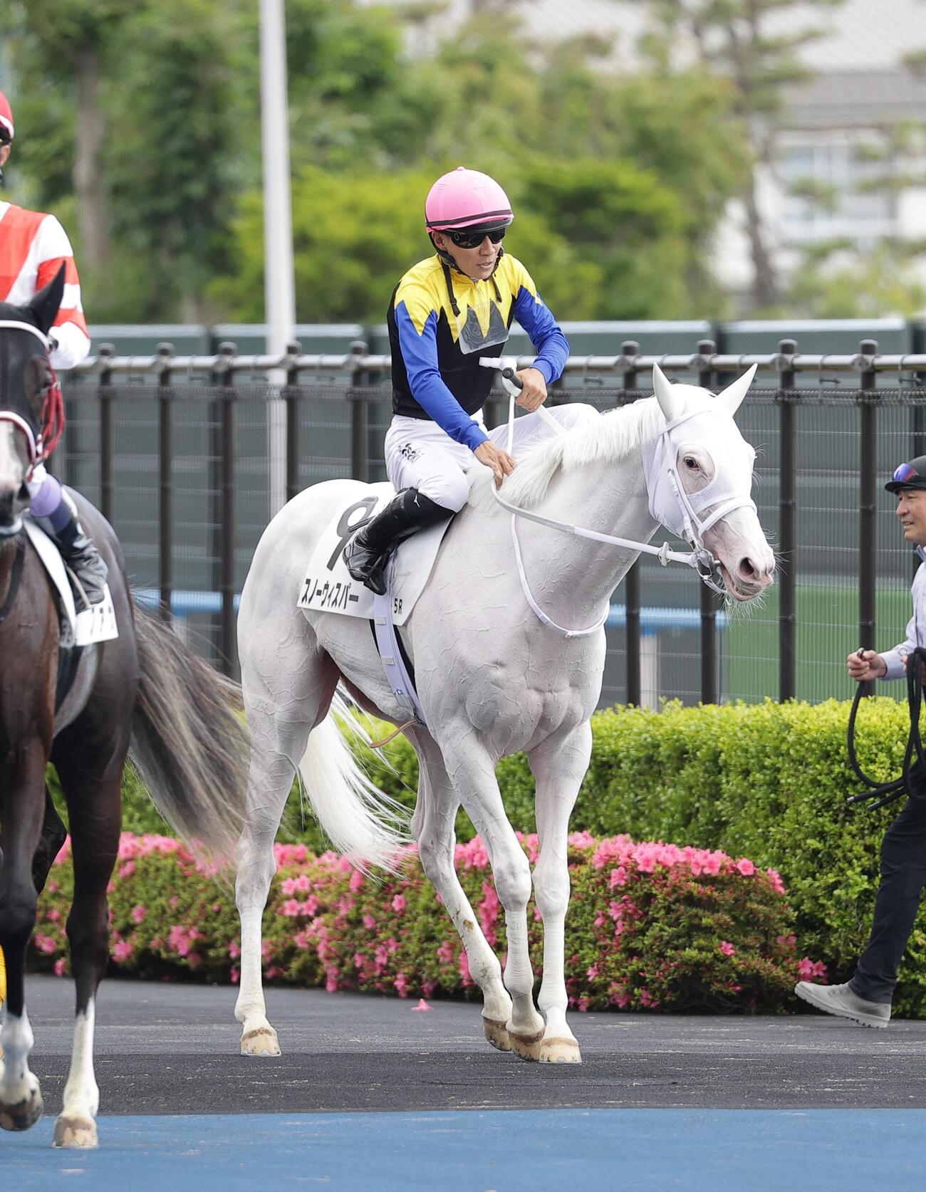 函館5R、2歳新馬戦で6着に敗れたスノーウィスパー