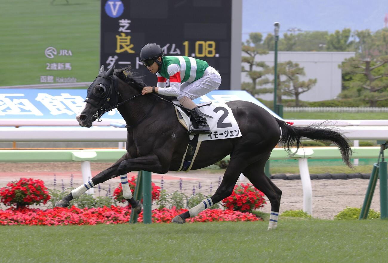 新馬勝ちを収めたイモージェン（撮影・松岡勇作）