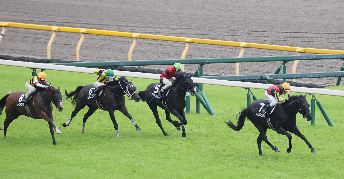 町田特別を制したチャリングクロスと戸崎圭太騎手（撮影・丹羽敏通）