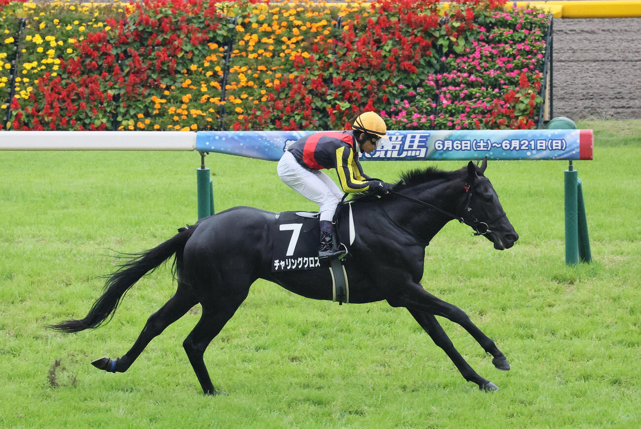 町田特別を制したチャリングクロスと戸崎圭太騎手（撮影・丹羽敏通）