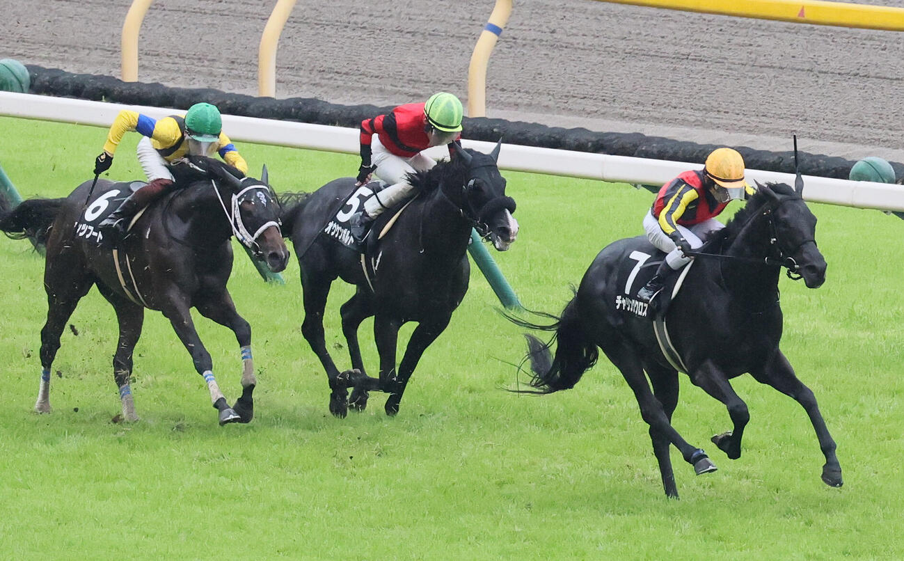 町田特別を制したチャリングクロスと戸崎圭太騎手（撮影・丹羽敏通）