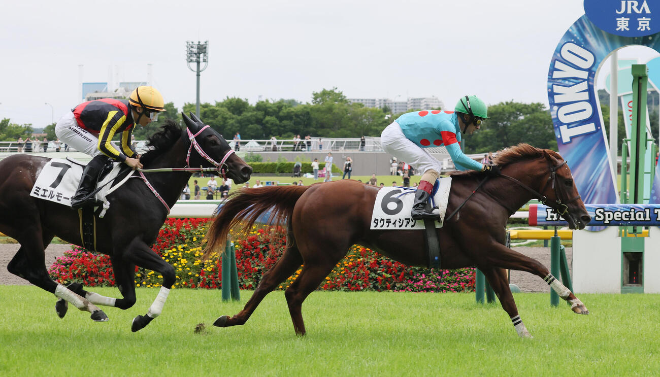 東京4R、2歳新馬戦を制したタクティシアンとクリストフ・ルメール騎手（右）（撮影・丹羽敏通）