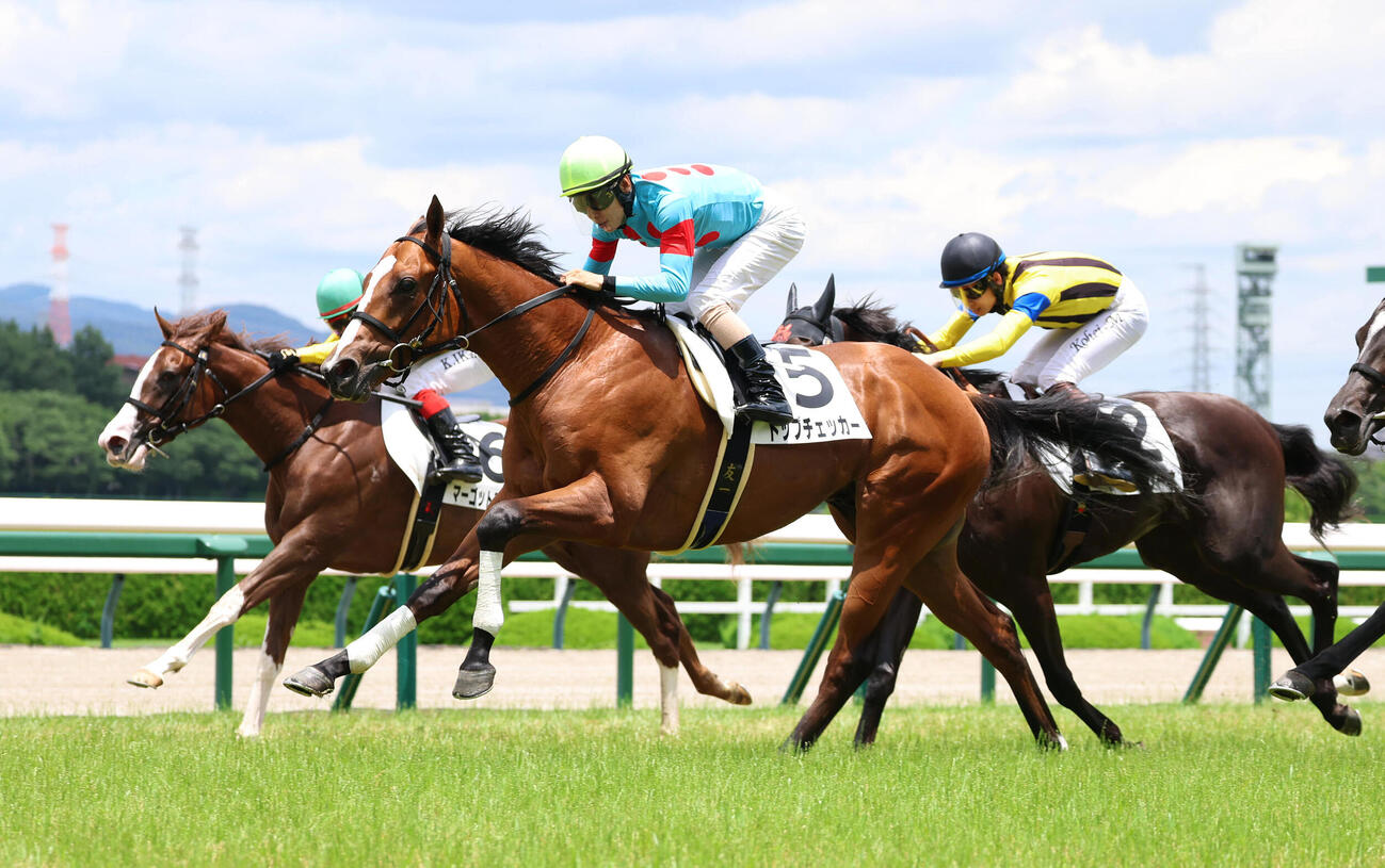阪神5R、直線抜け出して新馬戦を制したトップチェッカー（手前）（撮影・白石智彦）