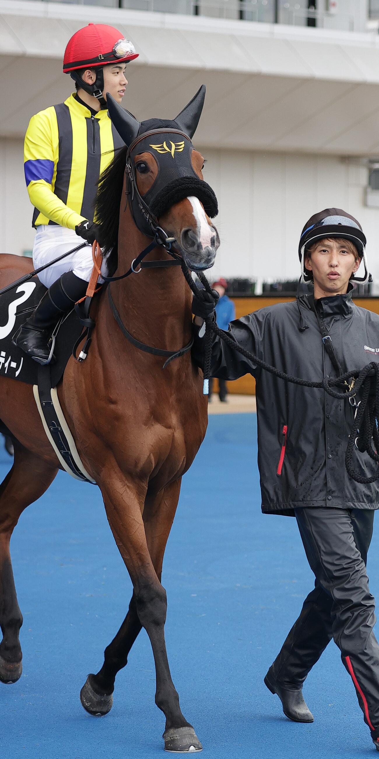 安田翔伍厩舎（きゅうしゃ）の馬は、安田隆行厩舎（きゅうしゃ）でしようされたロゴマークをメンコに着けて挑んだ