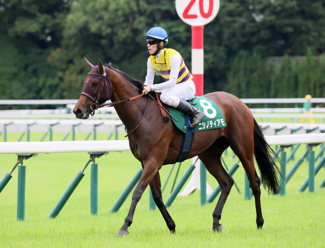 府中牝馬Sで2番人気で10着に敗れたニシノティアモと津村明秀騎手（撮影・丹羽敏通）