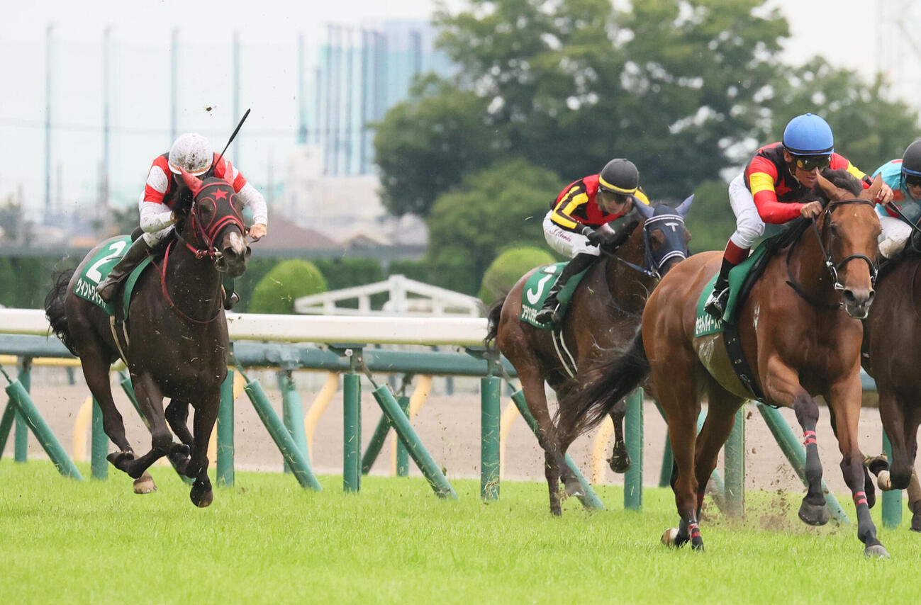 府中牝馬S2着に入ったウイントワイライト（左）。右は勝ったセキトバイースト（撮影・丹羽敏通）