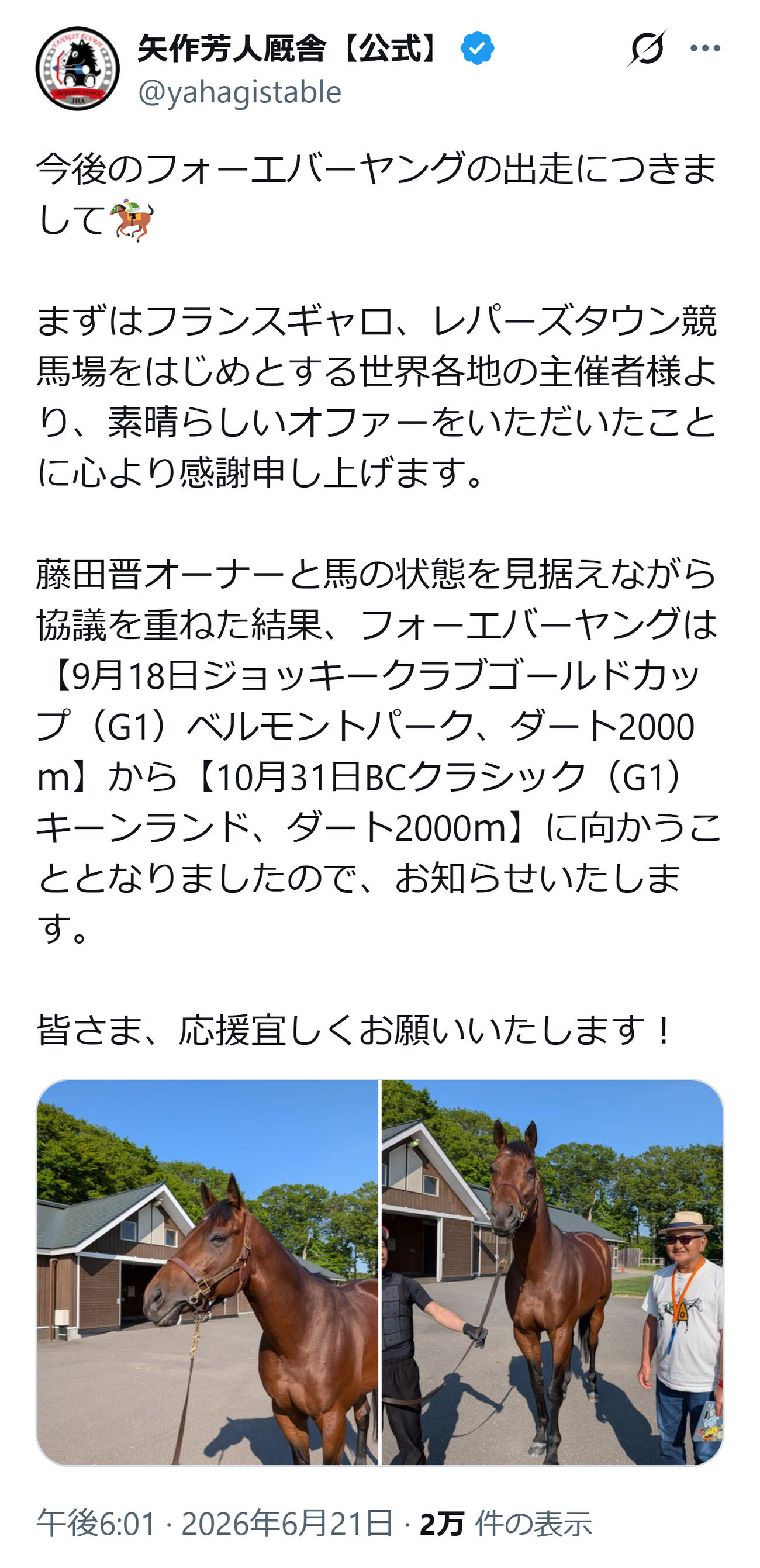 フォーエバーヤングの秋ローテを発表（矢作厩舎の公式Xから）