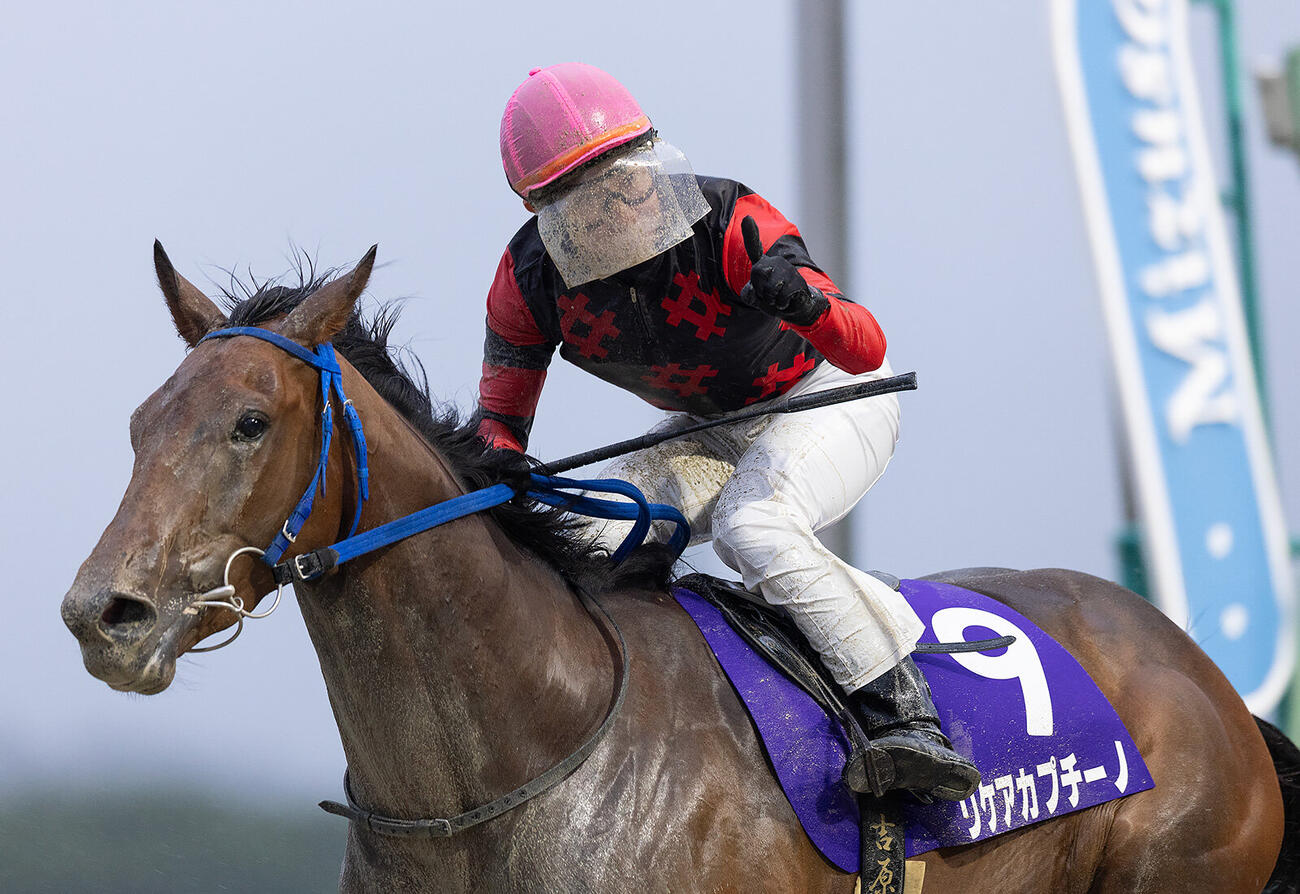 リケアカプチーノがみちのく大賞典で連覇を達成（写真提供・岩手県競馬組合）