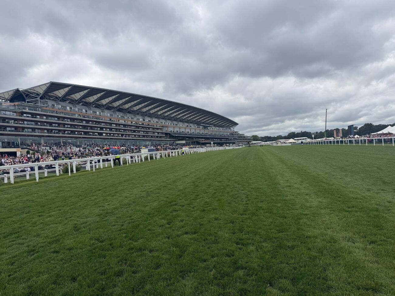 アスコット競馬場の芝コース