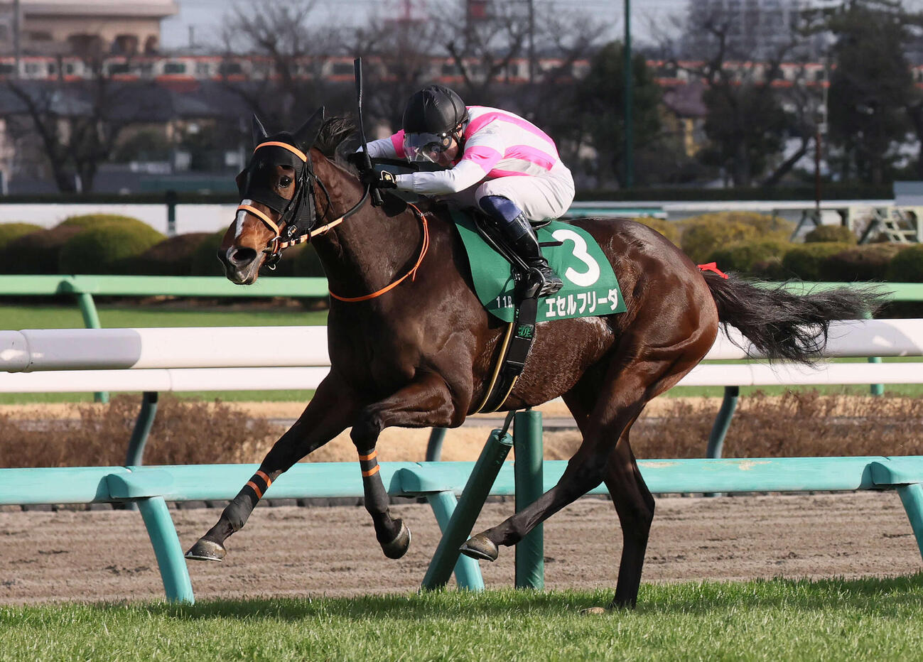 中山牝馬Sを制したエセルフリーダ