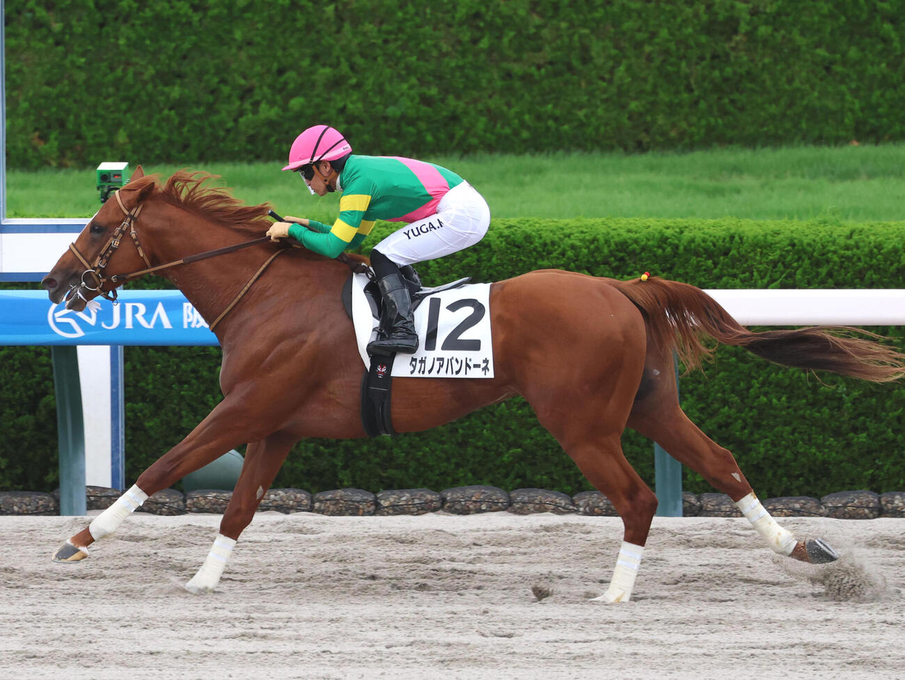 21日阪神12Rの3歳以上2勝クラスを制したタガノアバンドーネ