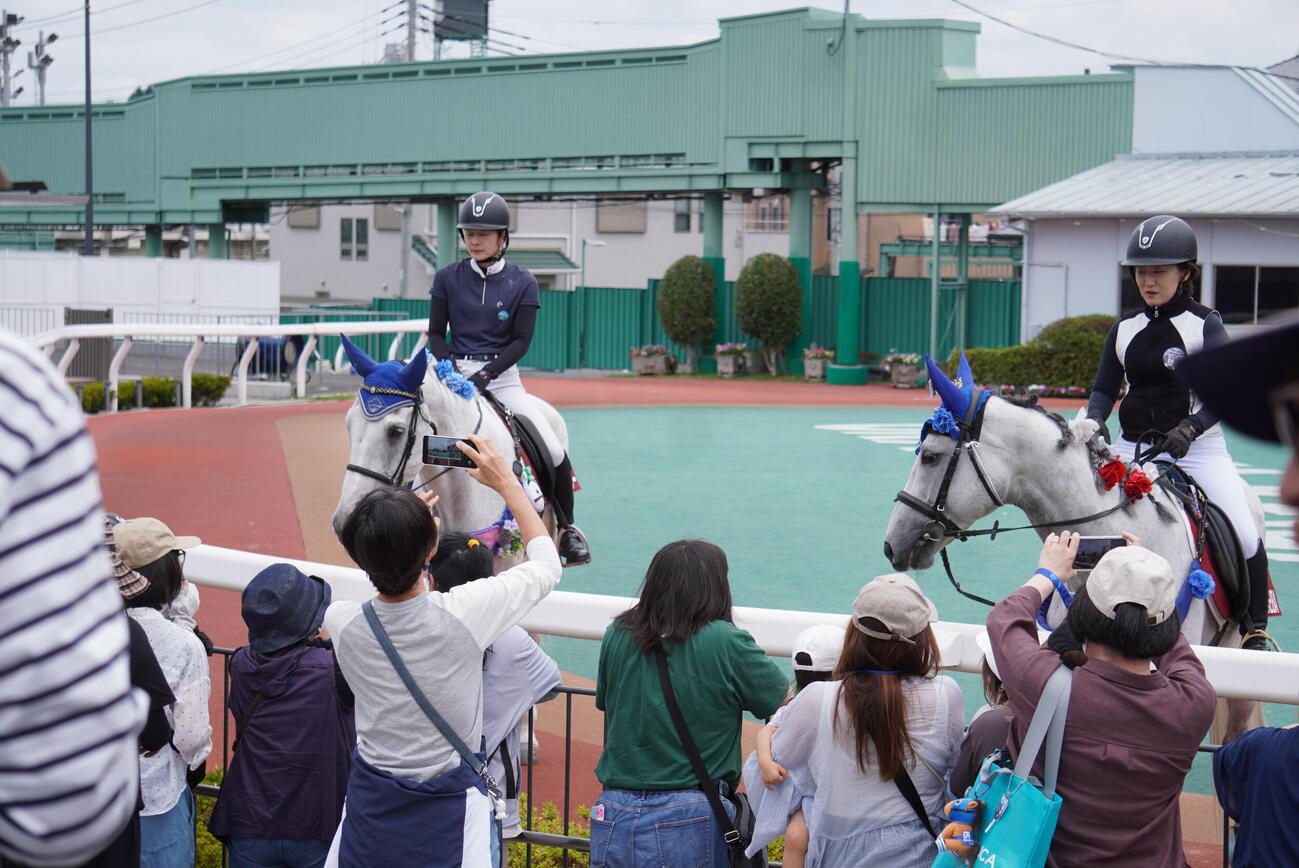 浦和競馬場、ファンを出迎える誘導馬