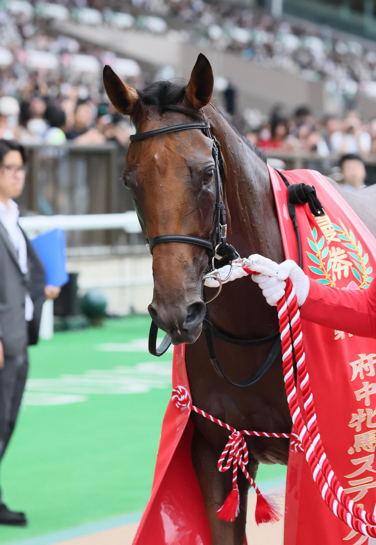 府中牝馬Sを制したセキトバイースト（2026年6月21日撮影）