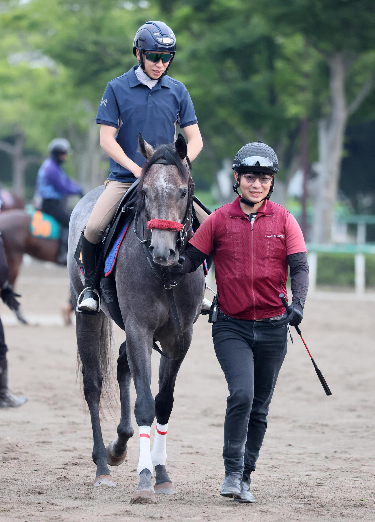 横山武史騎手を背に馬場へ向かうリッツパーティー（撮影・丹羽敏通）
