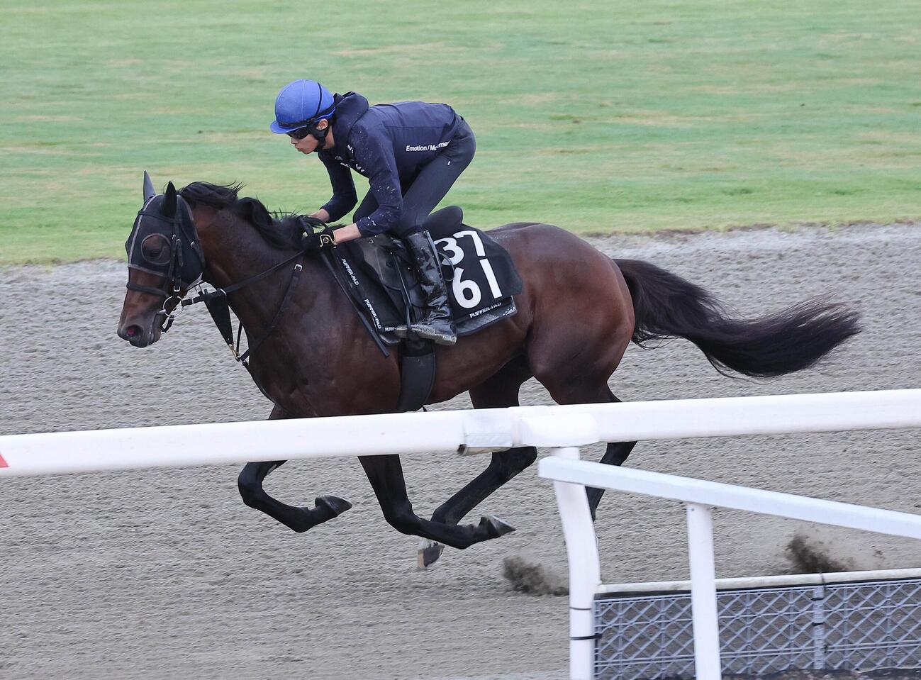 川端海翼騎手を背に単走でポリトラックを追いきるローベルクランツ