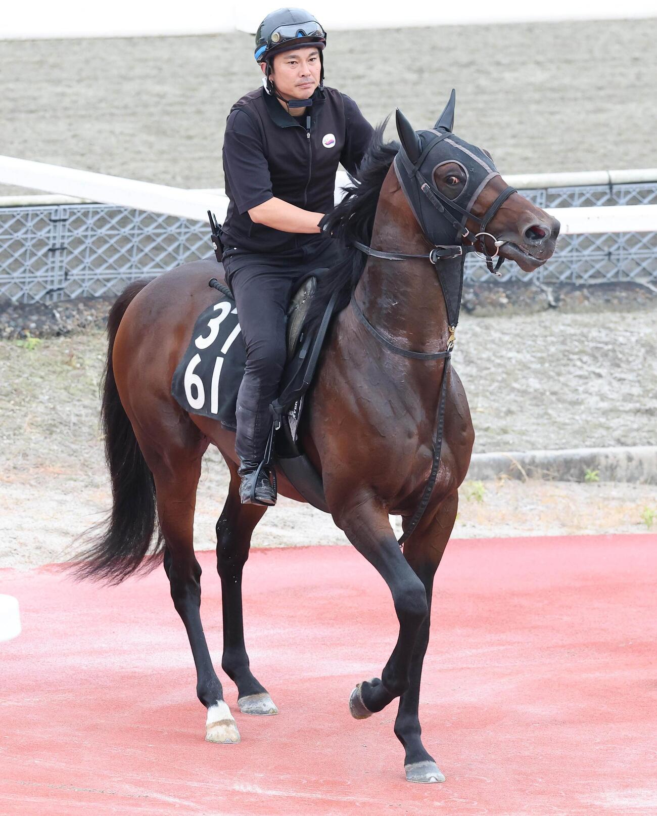 コースに入場するローベルクランツ