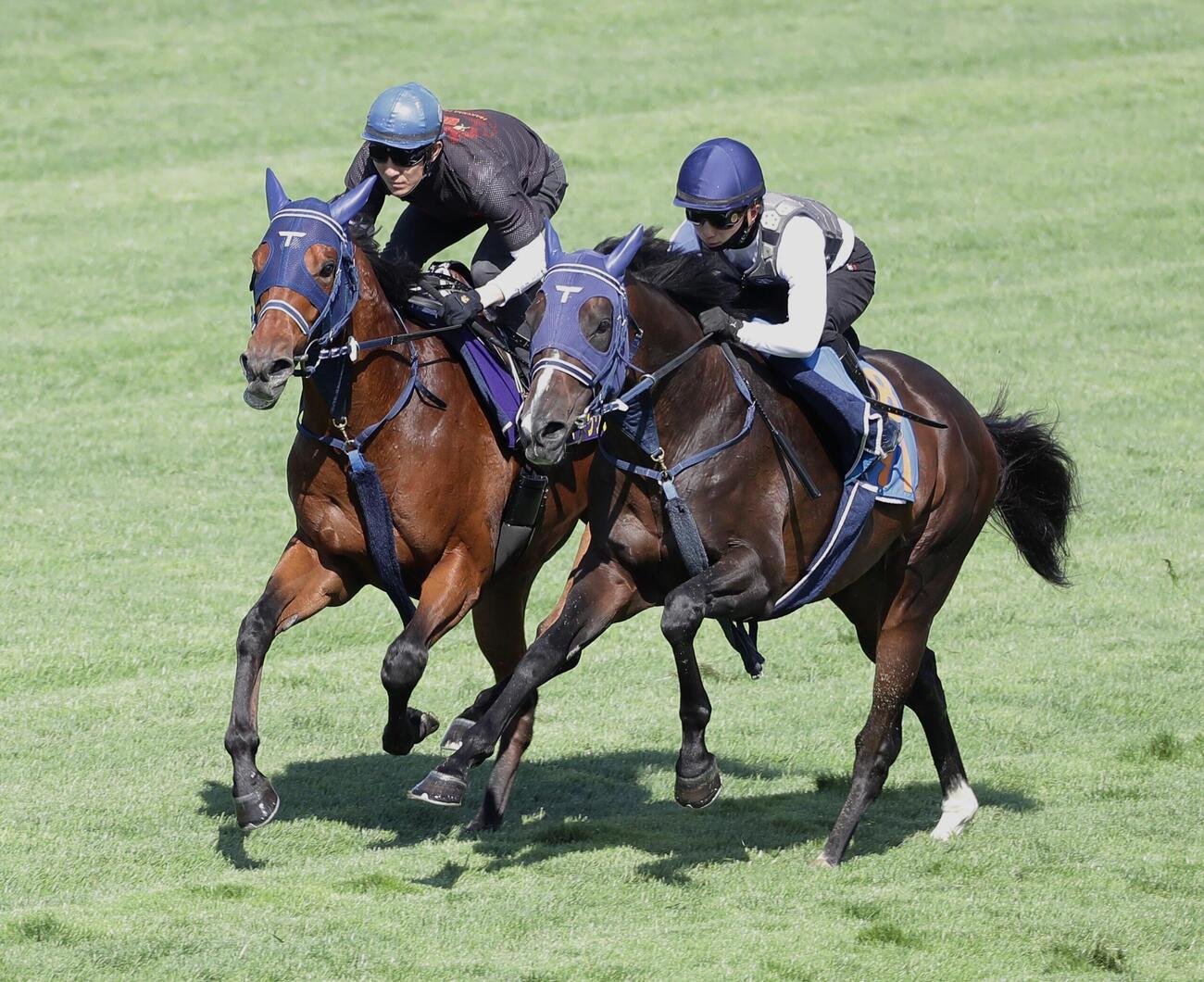 24日、丹内祐次騎手を背に、芝コースで併せ馬で追い切られるフィーリウス（左）
