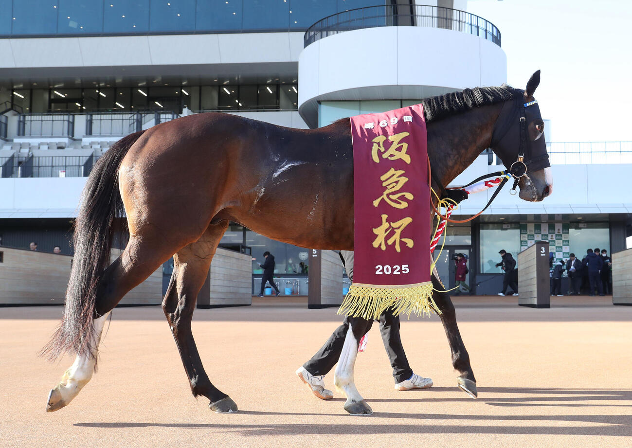 阪急杯を制したカンチェンジュンガ（2025年2月22日撮影）