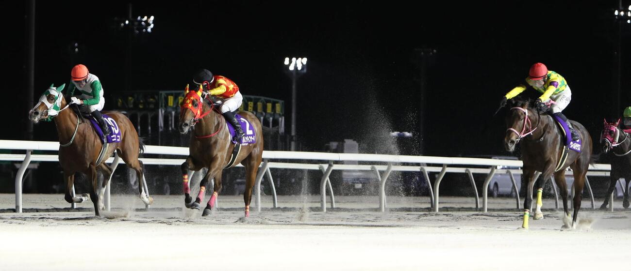 フロイラインCを制したウィルラウスと落合玄太騎手（右）。左から3着ニジコ、2着バレンタインケーキ。