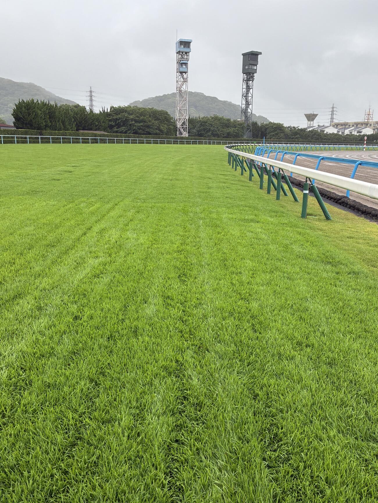 小倉競馬場3コーナー手前。緑が深くなっているところからは在来の野芝よりもエクイターフが多くなっている