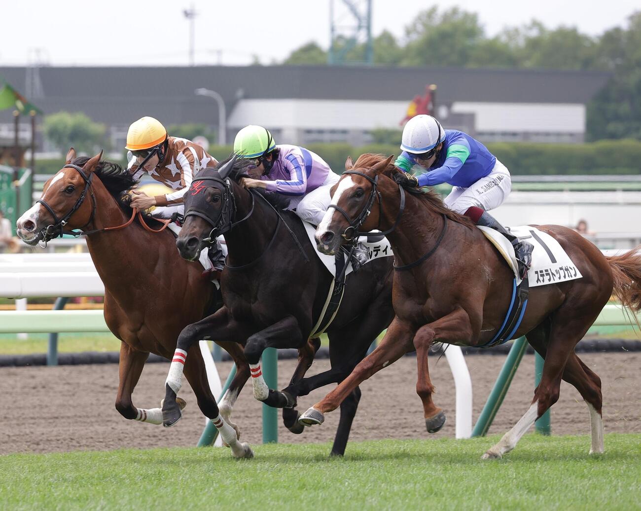 函館5R、2歳新馬戦を制したアゴルディーノ（中央）
