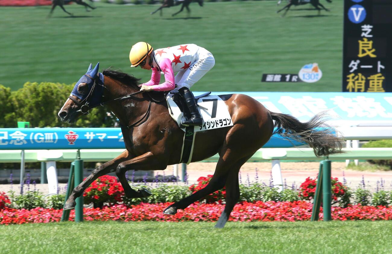 函館1R、2歳未勝利戦を制したダイシンドラゴン