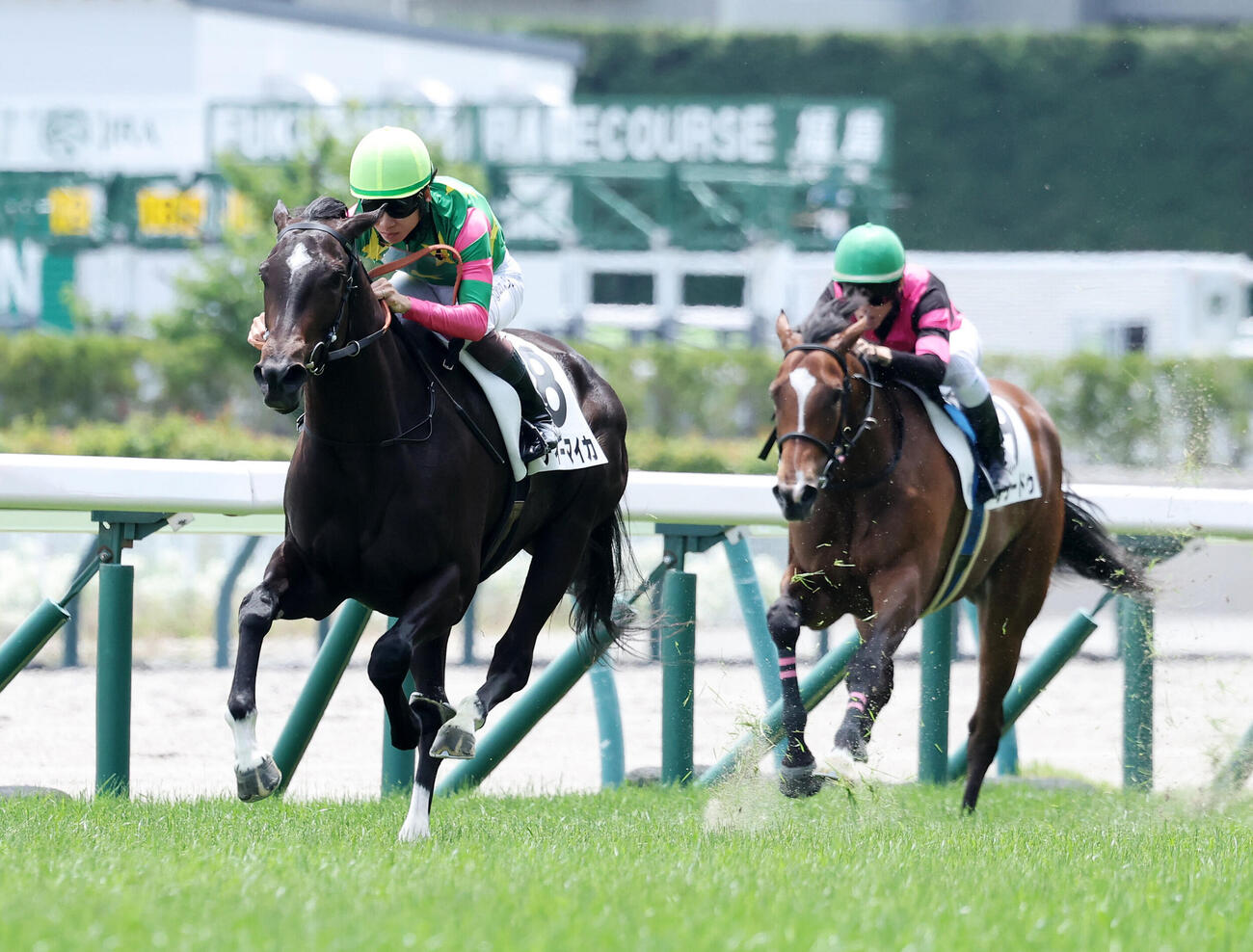 福島4R、2歳新馬戦を制したジーティーマイカ（左）と松山弘平騎手（撮影・鈴木正人）