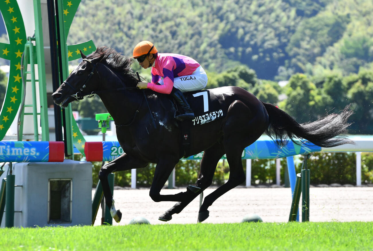 帆柱山特別を制したナリタエスペランサと川田将雅騎手（撮影・岩下翔太）