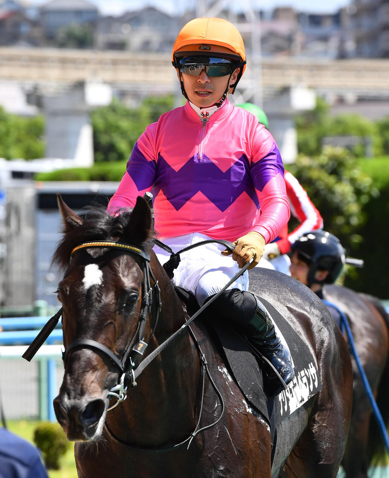 帆柱山特別を制したナリタエスペランサと川田将雅騎手（撮影・岩下翔太）