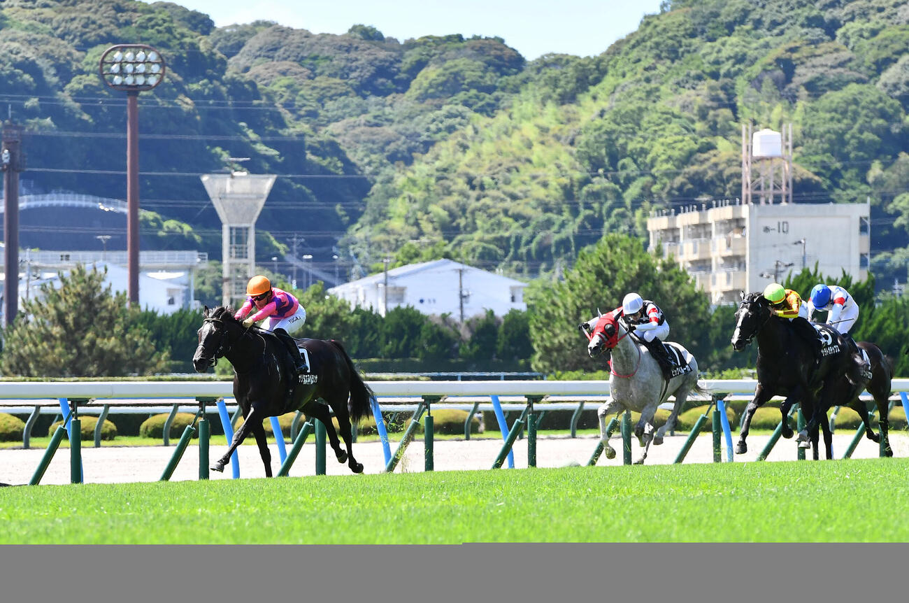 帆柱山特別を制したナリタエスペランサ（左）と川田将雅騎手（撮影・岩下翔太）